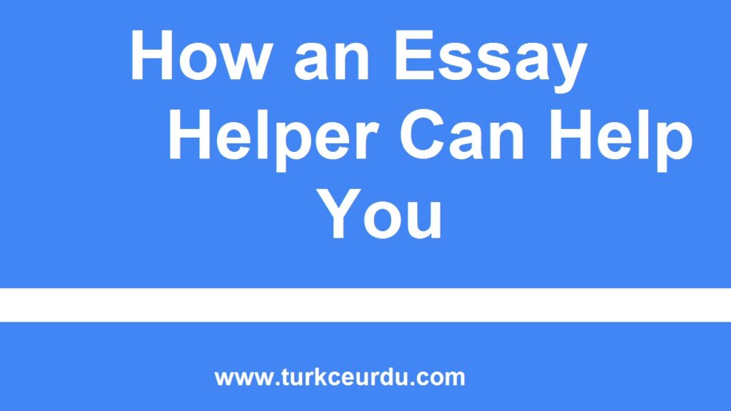 How an Essay Helper Can Help You