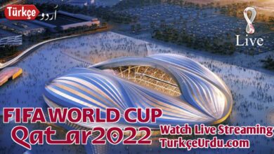 Fifa World Cup 2022 Live Stream & Score Summry