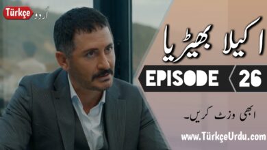 Photo of Yalniz Kurt Episode 26 Urdu Subtitles free