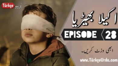 Photo of Yalniz Kurt Episode 28 Urdu Subtitles free