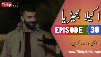 Photo of Yalniz Kurt Episode 30 Urdu Subtitles free