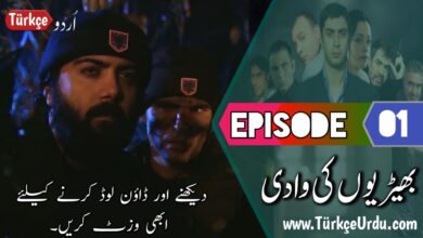 Kurtlar Vadisi Episode 1 with Urdu & English Subtitles Free Download
