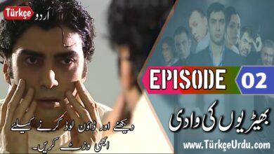 Kurtlar Vadisi Episode 2 with Urdu & English Subtitles Free Download