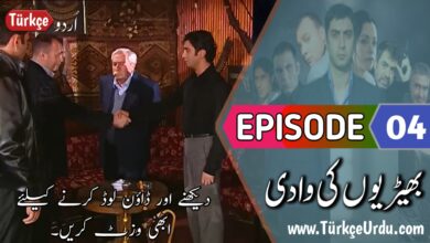 Kurtlar Vadisi Episode 4 with Urdu & English Subtitles Free Download