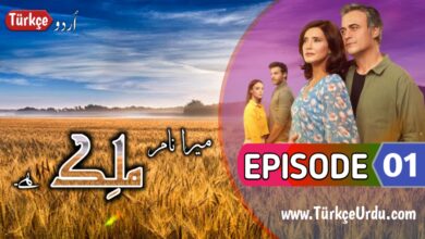 Malek Episode 1 with Urdu Subtitles Free Download