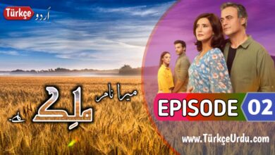 Malek Episode 2 with Urdu Subtitles Free Download