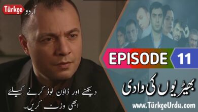 Kurtlar Vadisi Episode 11 Urdu Subtitles free Download